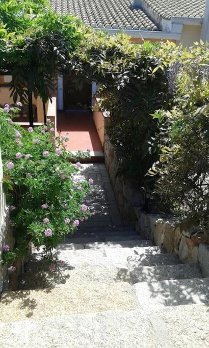 Meraviglioso Sul Porto Santa Maria Navarrese
